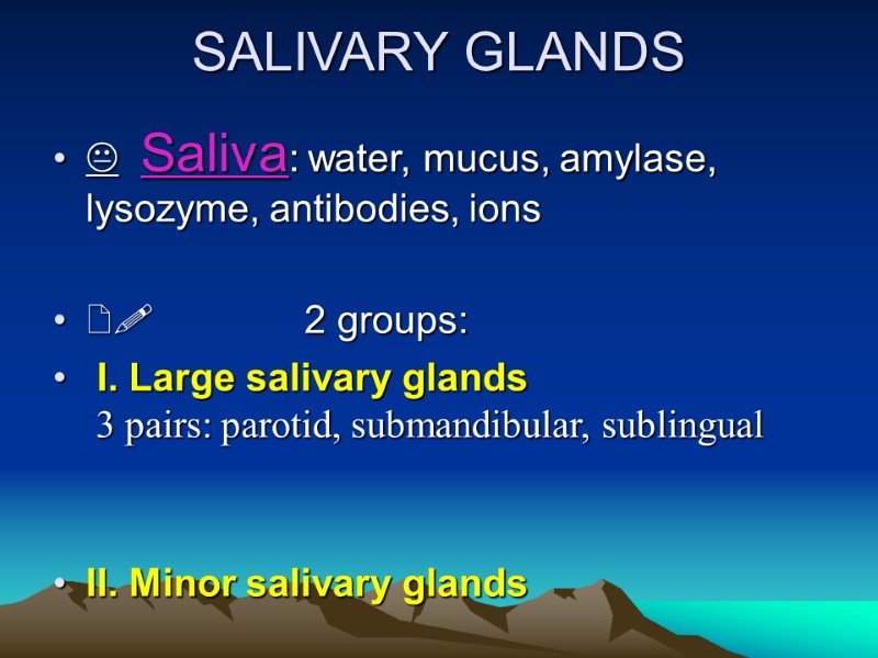 SALIVARY GLANDS   Saliva: water, mucus, amylase, lysozyme, antibodies, ions   